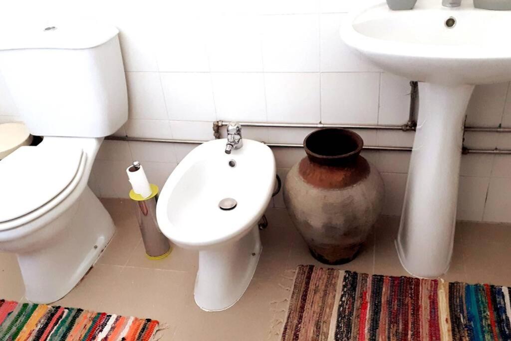 Apartament Casa Dos Coracoes - Turismo Regenerativo Beirã Zewnętrze zdjęcie